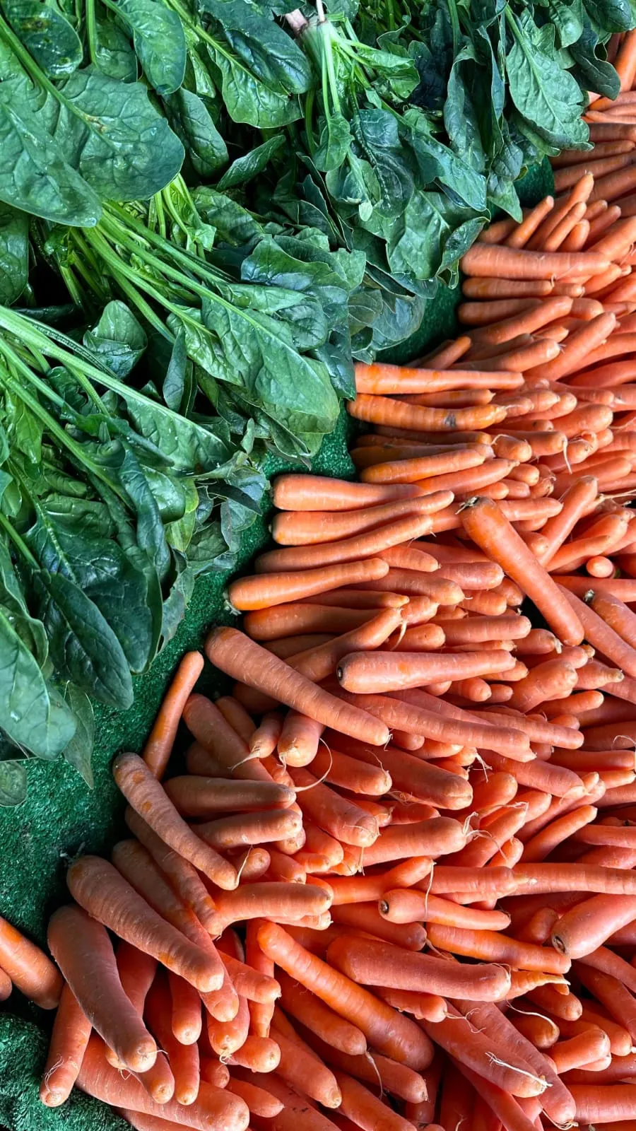 Zanahorias y espinaca ordenadas en puesto de venta